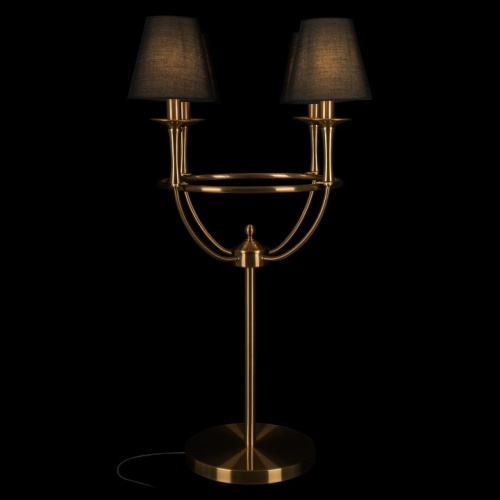 Настольная лампа декоративная Loft it Lattice 10435T в Нижнем Новгороде фото 4