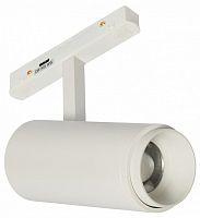 Светильник на штанге MyFar RayZoom MT0222-20W3K-S-W в Нижнем Новгороде