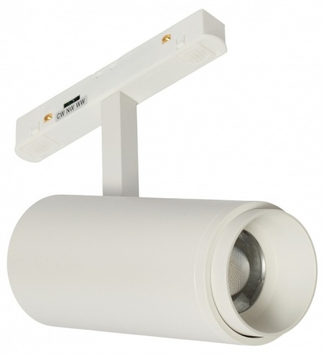 Светильник на штанге MyFar RayZoom MT0222-20W3K-S-W в Нижнем Новгороде