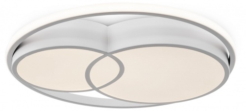 Накладной светильник Freya  FR10029CL-L70W в Нижнем Новгороде