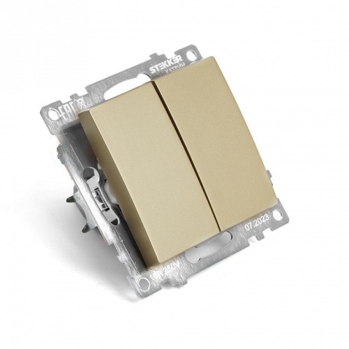 Переключатель двухклавишный без рамки Stekker Катрин 49220 в Нижнем Новгороде фото 3