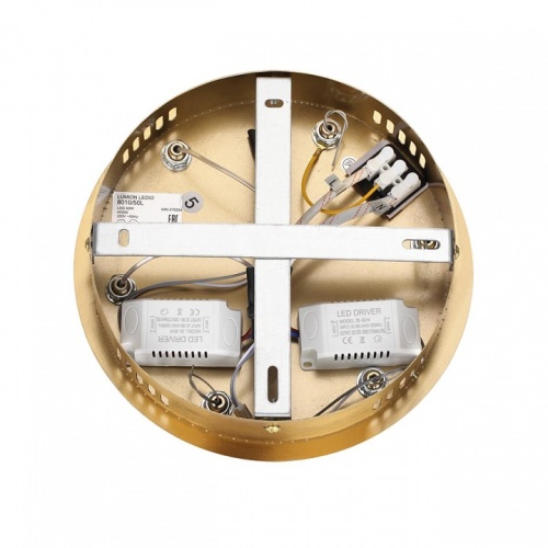 Подвесная люстра Lumion TWINKLE 8010/50L в Нижнем Новгороде фото 8