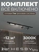 Комплект трековый Hesby Lighting Skylite №5 HSBL_kompl_S005_VI1B3K в Нижнем Новгороде