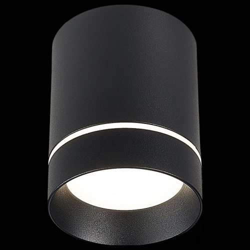 Накладной светильник ST-Luce ST115 ST115.432.07 в Перми фото 3