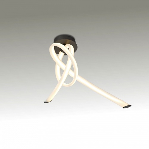 Накладной светильник Mantra Armonia 6794 в Нижнем Новгороде фото 4