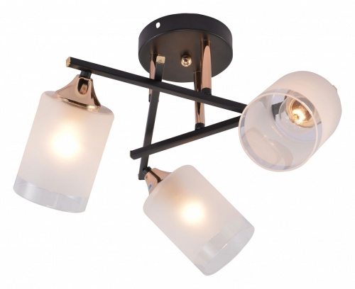 Люстра на штанге Rivoli Fiona Б0059259 в Нижнем Новгороде фото 5