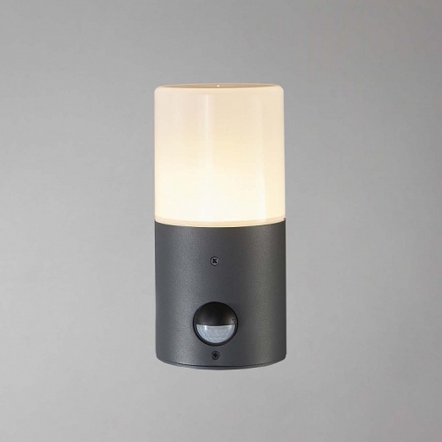 Светильник на штанге Escada Pair 581/1A в Нижнем Новгороде фото 2