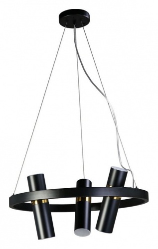 Подвесная люстра Zortes Tweeny ZRS.1828.50 в Нижнем Новгороде фото 11