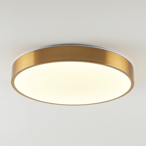 Накладной светильник Zortes Tortty ZRS.02566.72 в Нижнем Новгороде фото 4