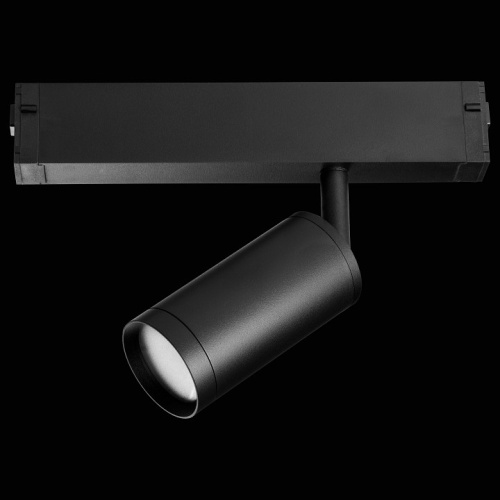 Светильник на штанге Lightstar Teta 205027R в Нижнем Новгороде фото 5