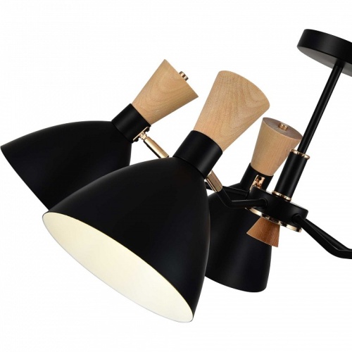 Люстра на штанге EVOLUCE VISTA SLE1256-402-05 в Нижнем Новгороде фото 4