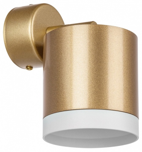 Спот Lightstar Rullo RBX34903486 в Нижнем Новгороде