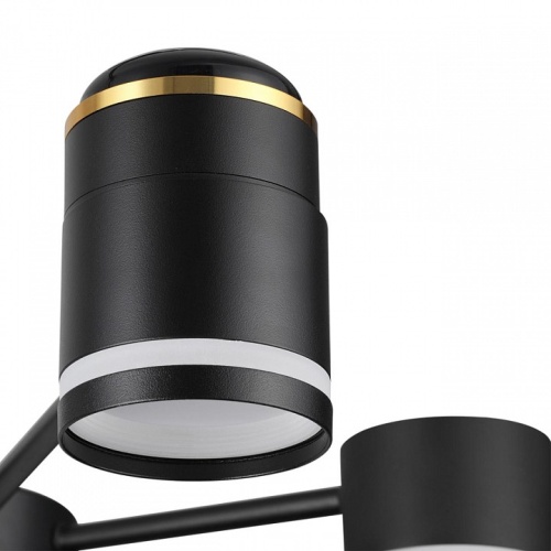 Люстра на штанге Lumion Virsava 8234/6C в Нижнем Новгороде фото 4