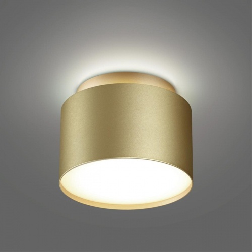 Накладной светильник Novotech LIRIO 371039 в Нижнем Новгороде фото 3