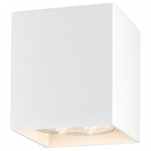 Накладной светильник Ambrella Light TN TN213139 в Нижнем Новгороде фото 2