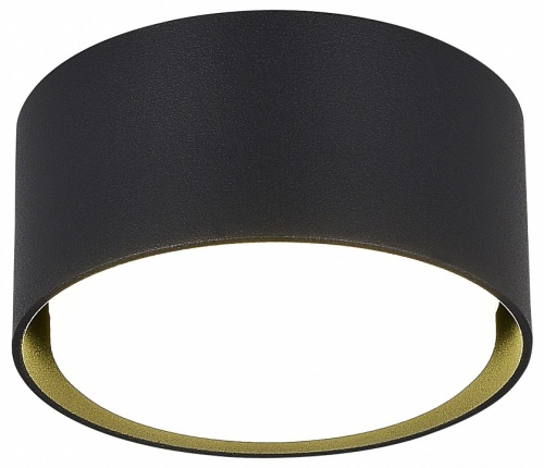 Накладной светильник ST-Luce ST164 ST164.402.01 в Нижнем Новгороде фото 2