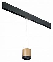 Подвесной светильник Lightstar Rullo PRORP34903487 в Нижнем Новгороде