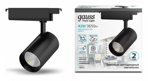 Светильник на штанге Gauss TR TR074 в Нижнем Новгороде фото 3