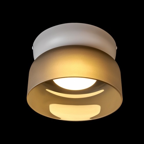 Накладной светильник Loft it Totem 10466 Smoke matte в Нижнем Новгороде фото 3