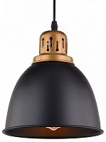 Подвесной светильник Arte Lamp Eurica A4245SP-1BK в Ртищево