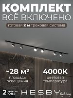 Комплект трековый Hesby Lighting Skylite №13 HSBL_kompl_S013_VI2B4K в Нижнем Новгороде