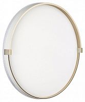 Накладной светильник Sonex PALE 7646/ELN в Нижнем Новгороде