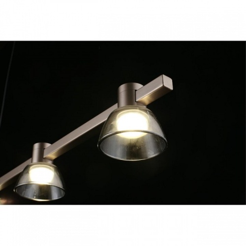 Подвесной светильник Aployt Rezeda APL.788.03.06 в Нижнем Новгороде фото 15