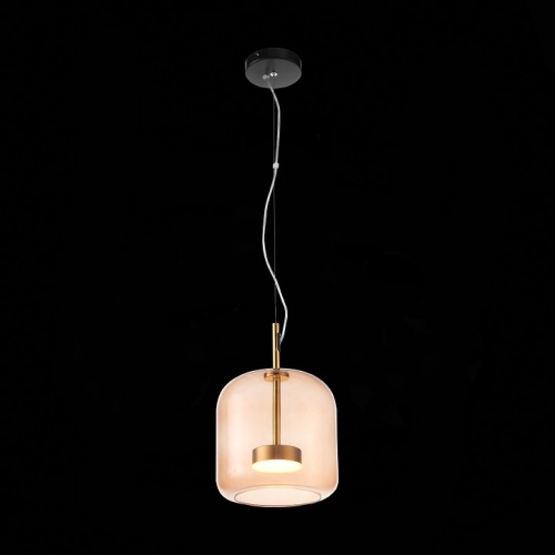 Подвесной светильник ST-Luce Palochino SL1053.273.01 в Поворино фото 4