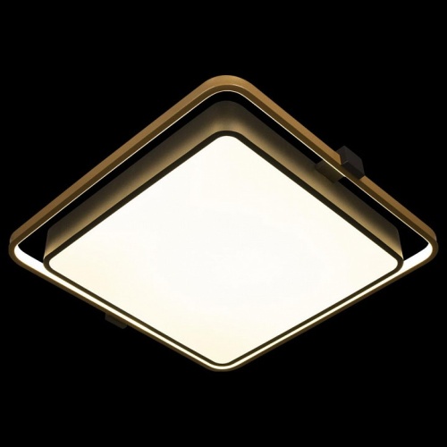 Накладной светильник Loft it Mike 10172 в Нижнем Новгороде фото 4