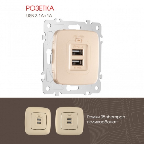Розетка USB, без рамки Arte Milano am-205 205.46-1.shampan в Нижнем Новгороде фото 4