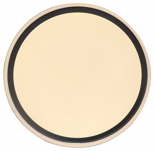 Накладной светильник Zortes Bella ZRS.1201.07 в Нижнем Новгороде фото 2