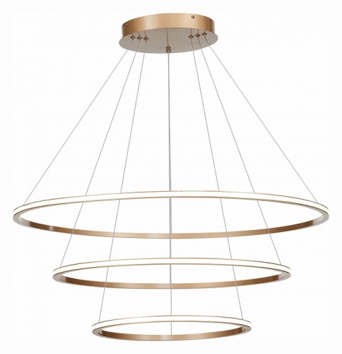 Подвесной светильник ST-Luce ST604 OUT ST604.243.114 в Нижнем Новгороде фото 2