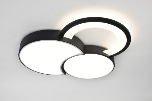 Потолочная люстра Rivoli Aliona Б0066452 в Нижнем Новгороде фото 10