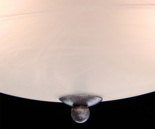 Светильник на штанге MW-Light Аида 11 323012603 в Саратове фото 11