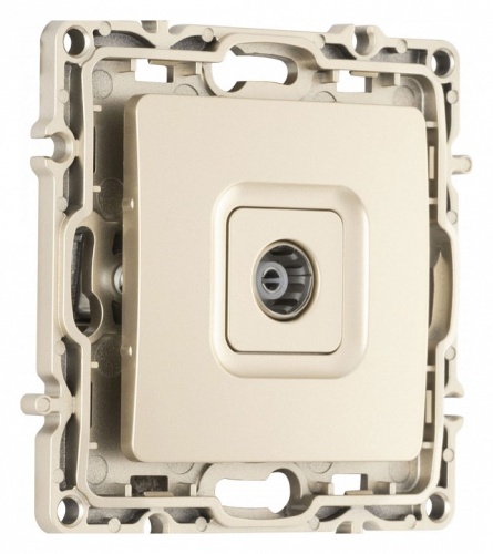 ТВ-розетка без рамки Arte Milano am-217 217.43-1.shampan в Нижнем Новгороде фото 5