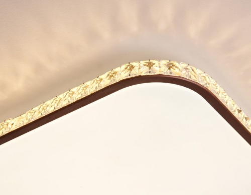 Накладной светильник Ambrella Light FF FF76 в Нижнем Новгороде фото 2