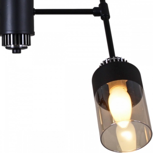 Люстра на штанге 32352-0.3-04 в Нижнем Новгороде фото 2