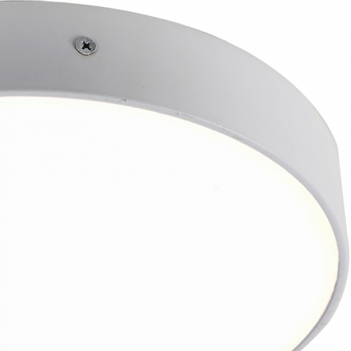 Накладной светильник Favourite Flashled 2065-30C в Нижнем Новгороде фото 2