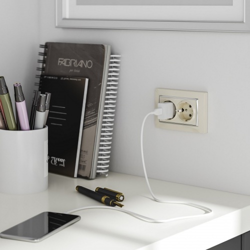 Розетка двойная с заземлением, без рамки Werkel слоновая кость W1172003 в Нижнем Новгороде фото 4