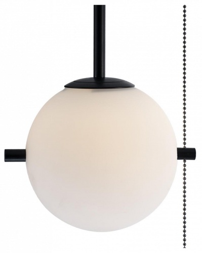 Светильник на штанге Loft it Signal 10029PS Black в Нижнем Новгороде фото 5