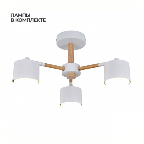 Люстра на штанге Escada  ES0000022L в Нижнем Новгороде фото 4