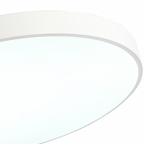 Накладной светильник Zortes Tortty ZRS.02564.96 в Нижнем Новгороде фото 2