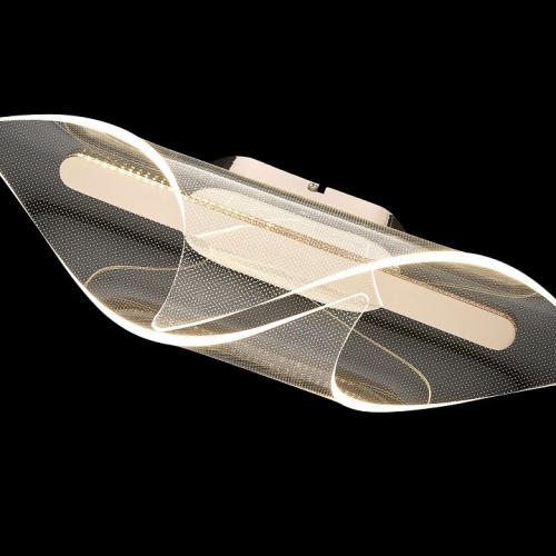 Накладной светильник Wertmark Helga WE447.01.301 в Нижнем Новгороде фото 2