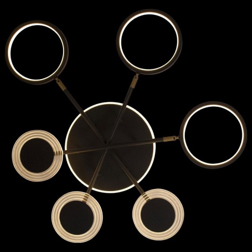 Потолочная люстра Loft it Megan 10164S Black в Нижнем Новгороде фото 2