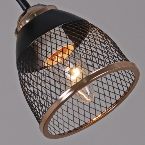 Люстра на штанге 01505-0.3-03 BK+FGD в Нижнем Новгороде фото 2