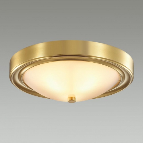 Накладной светильник Lumion Nina 5259/2C в Нижнем Новгороде фото 3