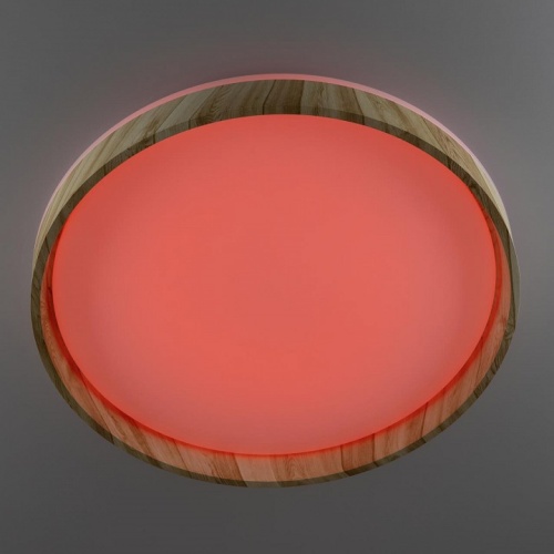 Накладной светильник Citilux ENZO CL753452G в Нижнем Новгороде фото 7