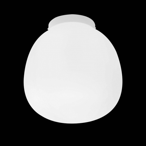 Накладной светильник Lightstar Grazia 608616 в Нижнем Новгороде фото 2