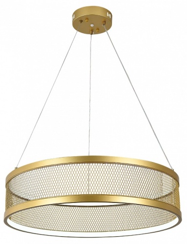 Подвесной светильник Indigo Solido 10022/1P Gold в Нижнем Новгороде фото 5