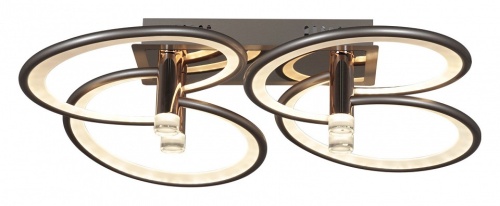 Потолочная люстра 09253-0.3-4S Champaign silver в Нижнем Новгороде